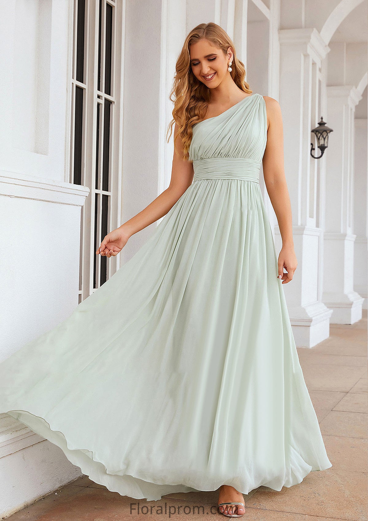 A-line One-Shoulder Sleeveless Chiffon Long/Floor-Length Bridesmaid Dresses With Pleated Myla HJP0025382