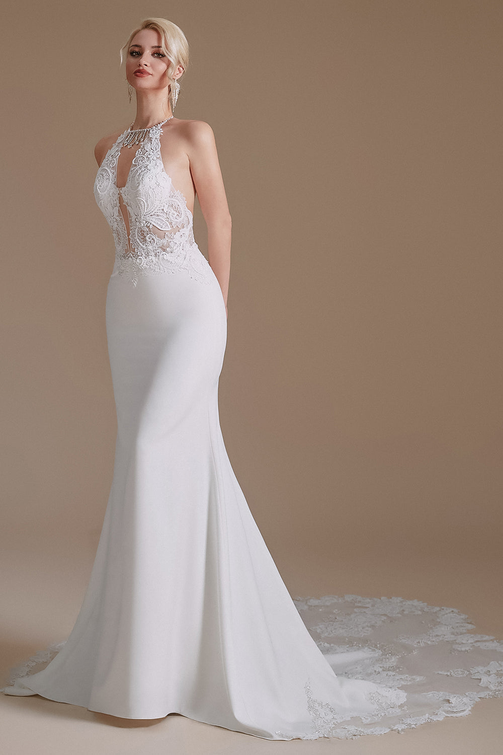 Mermaid Lace Appliques Elegant Backless Wedding Dresses