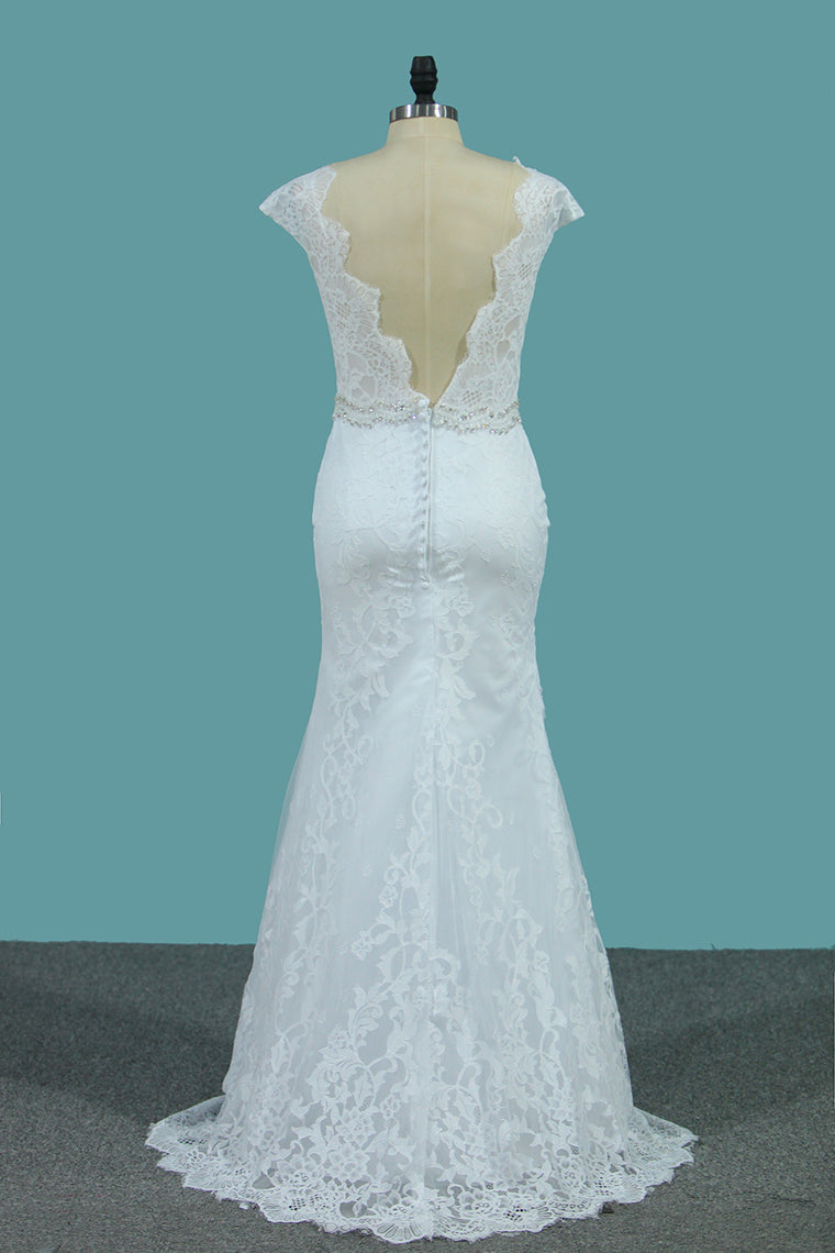 2024 Lace Wedding Dresses Scoop With Beaded Waistline Covered Button Open Back